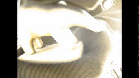 Hell pyrical evidence (uncensored)  By  D & E  wav4