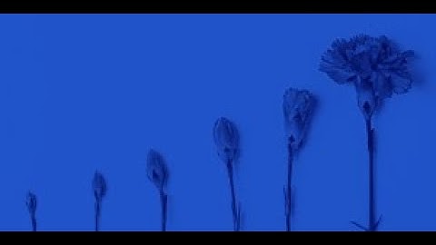 How to convert a dissertation or thesis into a manuscript