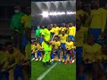 Mamelodi Sundowns MTN8 Celebration #shorts #sundownsmtn8win #mtn8final