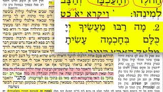 חולין קכז 127 רביעי כ״ז אדר ב׳ תשע״ט Daf yomi Chullin page 127 קכז שמואל נבון