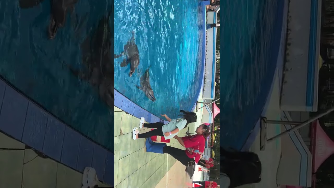 Dicium lumba lumba, #safari 