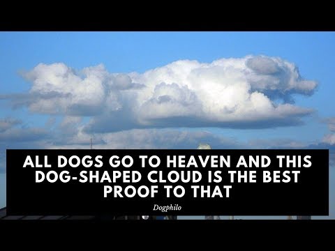 All Dogs Go to Heaven and This Dog Shaped Cloud is the Best Proof to That