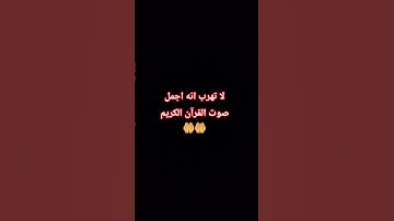 لا تهرب انه اجمل صوت القرآن الكريم  🤲🤲