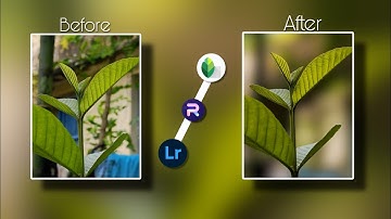 blur background photo editing tutorial | mobile photography editing on Photoroom