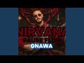 NIRVANA GNAWA