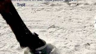 Movement in the Easyboot Glove: Trot
