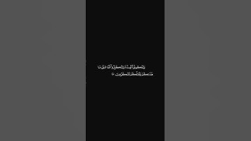 الشيخ ياسر الدوسري سورة البقرة