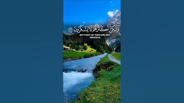 القران الكريم حياة القلوب