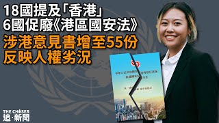 聯合國審議｜18國提及「香港」　6國促廢《港區國安法》　涉港意見書增至55份反映人權劣況