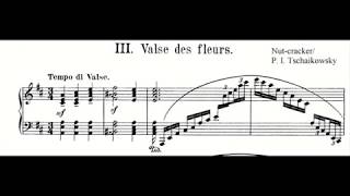 Pyotr Tchaikovsky - Nutcracker, Waltz of the Flowers (Opus 71), Piano music and score