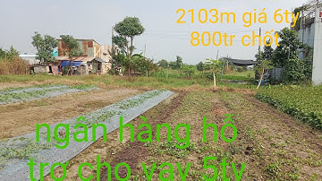 Nợ gian ho bán gấp 2103m đất thổ cư đường 5m giá 6ty800 chốt xã Mỹ Lộc cần giuộc dt0964400373