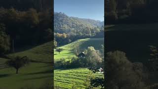 🇨🇭✨🎨Beautiful canton #BaselLand ✨🖼#switzerland #🇨🇭 #swissmonamour #ericamanole #shorts #autumn