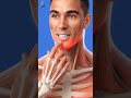#jawline