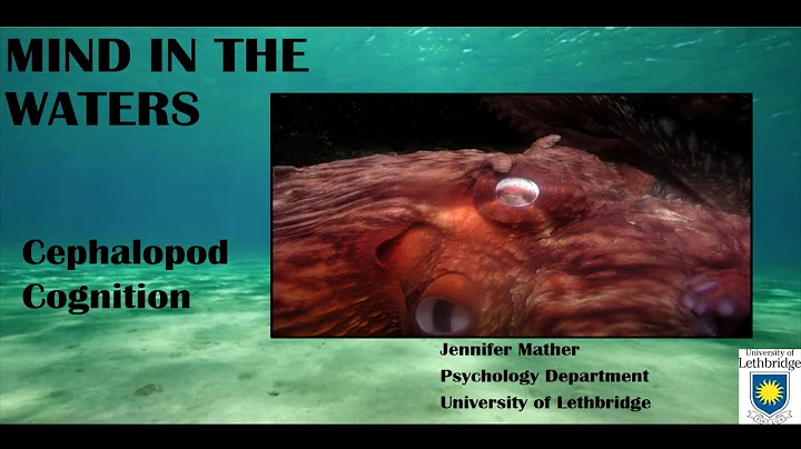 Jennifer Mather - Mind in the waters