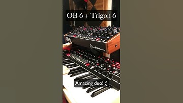Sequential OB-6 + Trigon-6 – Ambient Synth Jam #shorts