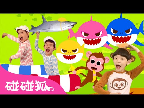 鯊魚一家體操 人氣兒歌合集 🦈 Baby Shark doo doo＋更多 鯊魚寶寶 經典兒歌 連續播放 | 臺灣配音 中文 英文 | 碰碰狐 Pinkfong!