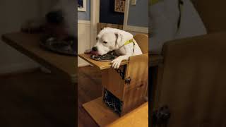 Striker uses a "Bailey Chair"