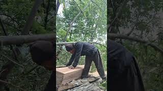 #ChainsawExpertNepal#ChainsawNepal#WoodCutting#LoggingLife# hardworking