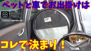 【ペットとお散歩】ラガーコーポレーションの隠れたアイドル初登場？！【オススメ商品紹介】