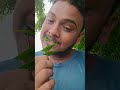 Gegagedigedagedago Funny Video Shorts Gegagedigedagedago Funny Video Shorts