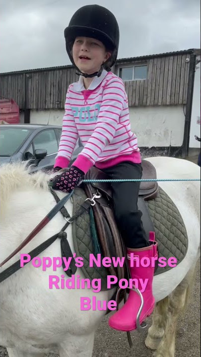 MEET BLUE | Poppy’s new pony she rides at Horse Riding Lessons | #short