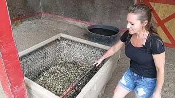 Hay OptiMizer Testimonial