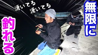 無限に魚が釣れる島見つけた！！