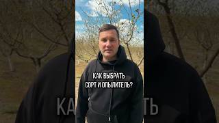 КАК ВЫБРАТЬ СОРТ И ОПЫЛИТЕЛЬ ФУНДУКА? #сад #садоводничество #дача #сельскоехозяйство