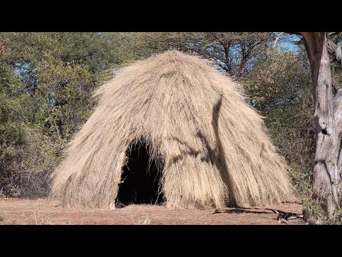 Video: Vilka är nomadiska jägare-samlare som bor i kalahariöknen?