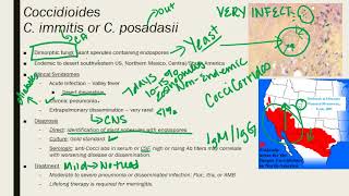 Coccidioides, Paracoccidioides,Talaromycosis Penicillium