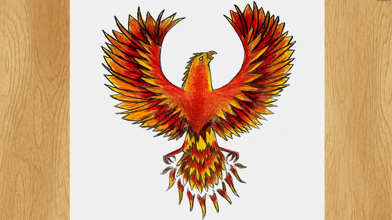 Phoenix Drawing / Drawing Flying Easy Drawing Flying Phoenix Bird