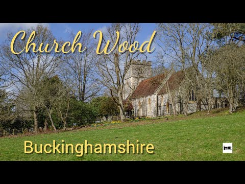 Exploring the beautiful Church Wood. Walk Through an English Countryside Woodland, Buckinghamshire.