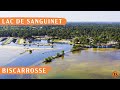 Lac de sanguinet  biscarrosse  drone  documentaire arien 4k  aerial footage 4k