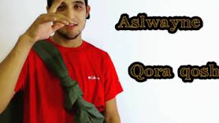 Aslwayne Qora qosh Resimi