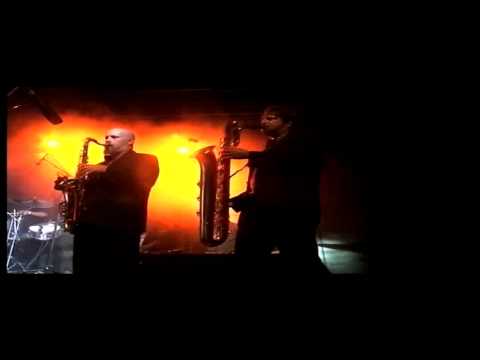 brassica rapa Mardi Gras Brass Band - Woodstower 2009