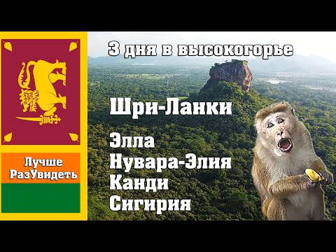 Шри-Ланка. Поездка в высокогорье. Сигирия, Нувара-Элия, Элла и Канди. ЛучшеРазУвидеть.