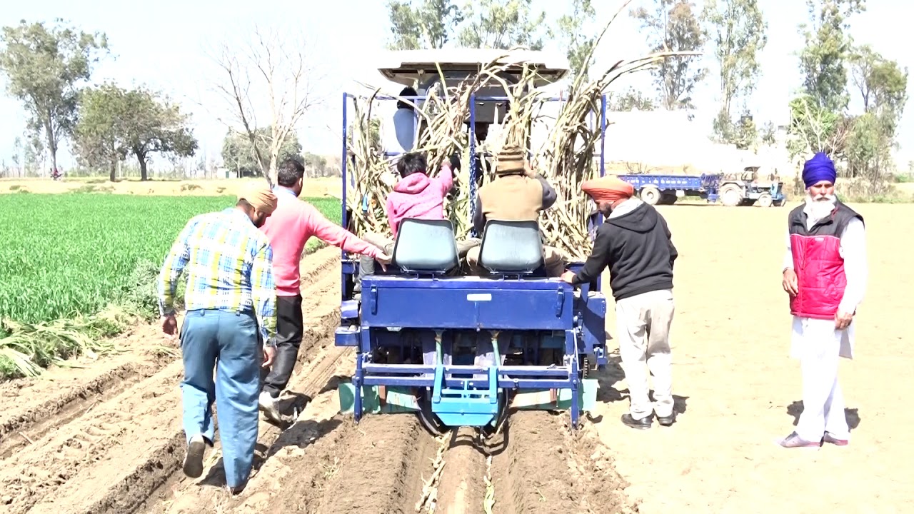 Sugarcane cutter planter YouTube