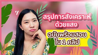 สรุปการสังเคราะห์ด้วยแสงครบจบ ใน 1 คลิป : ต้องดูก่อนไปสอบ : ชีวะครูฝ้าย ALevel สอวน.ชีวะ