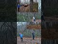 Trapped Between Two Trees… 😳 | Bronco Tight Trail Moment