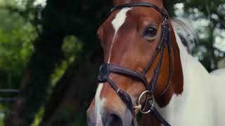  whip It  Tsunari Milliteaser