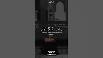 آية من سورة فاطر . بصوت الشيخ علي جابر (رحمه الله)