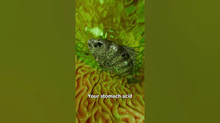 What If You Swallow A Live Fish? 🤔