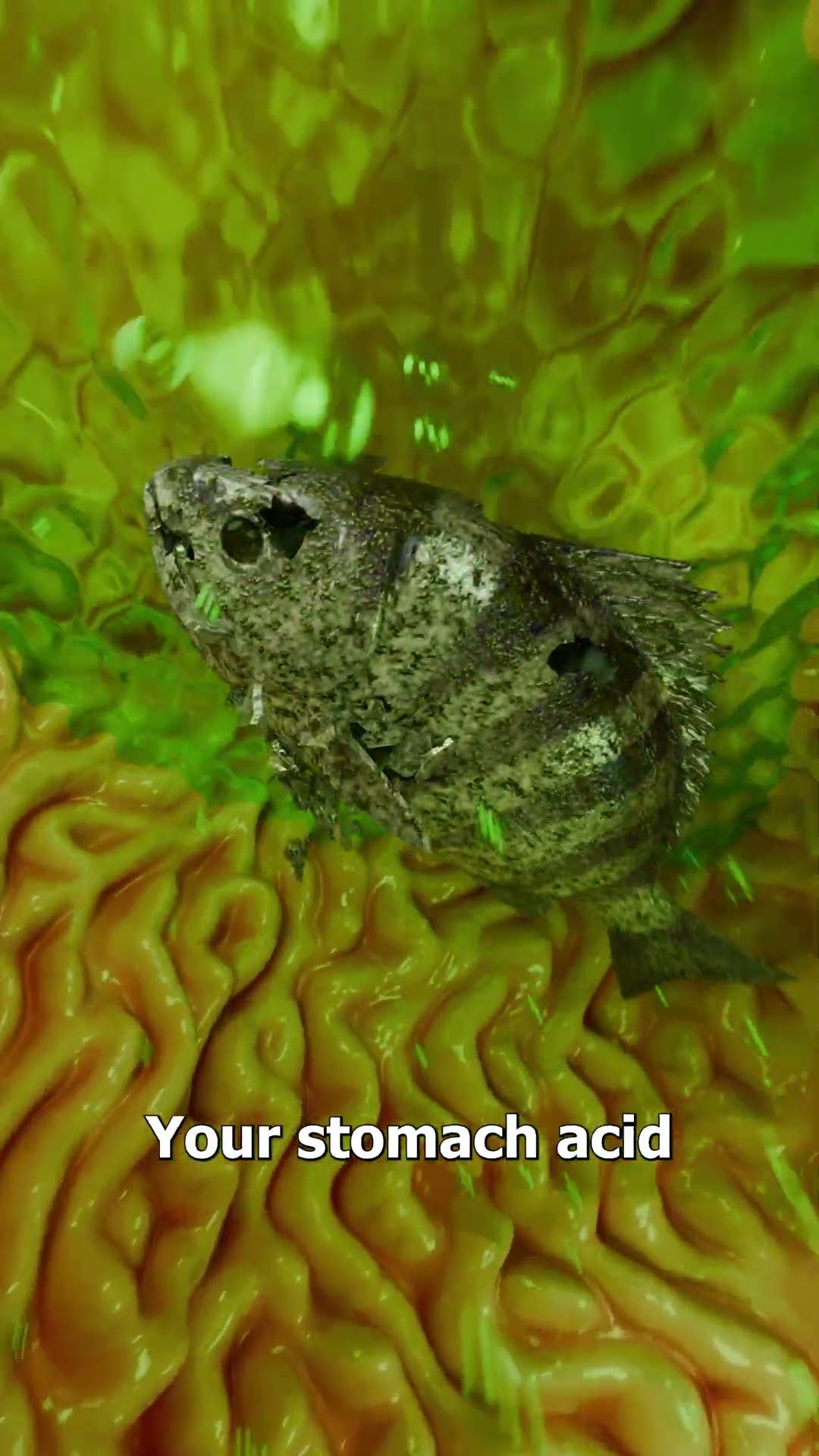 What If You Swallow A Live Fish? ?