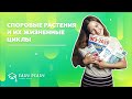 Споровые растения и их жизненные циклы | Открытый урок по биологии ОГЭ | EASY PEASY