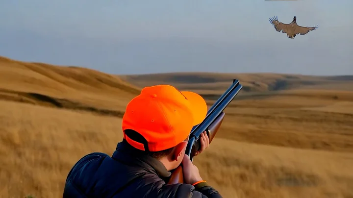 Hunting Partridges and Hares Season 2024/2025 PART 8 -KHEMISSET -TIZITIN
