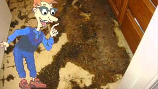 Drew Pickles Goes To A Burst Septic Pipe