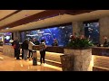 Our stay at the Mirage Hotel and Casino Las Vegas Nevada ...