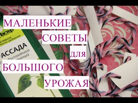 Маленькие Советы для Большого Урожая.