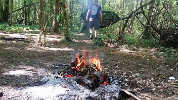 Fire dd hammock  birdsong