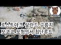 [로스트아크 #2-1] 살란드 구릉지 모코코 & 모험의서 최단루트